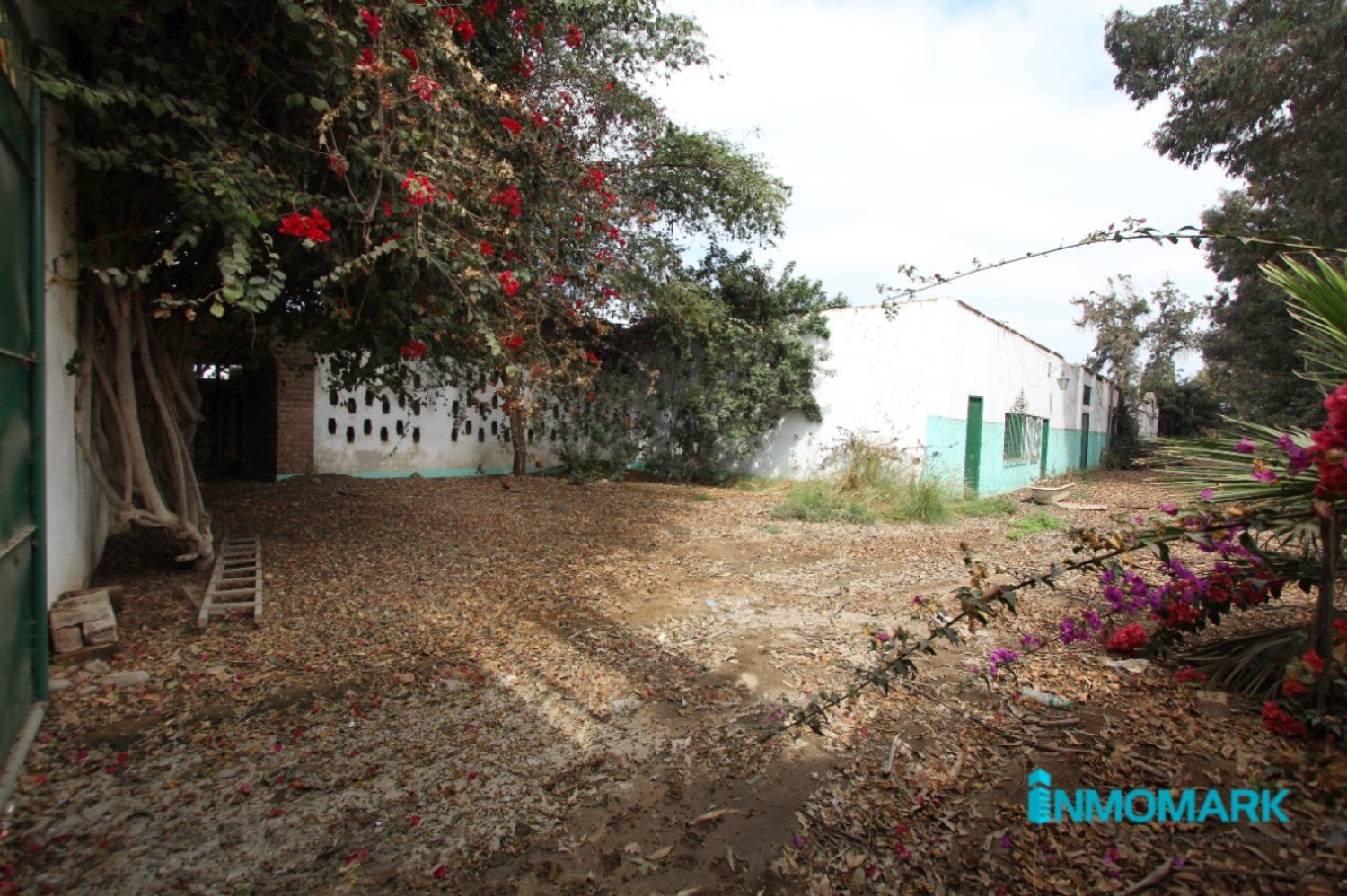 2-convertido-a-grande