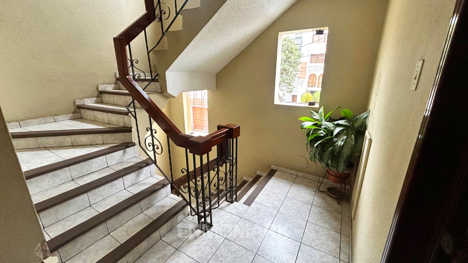 20-convertido-a-grande (2)