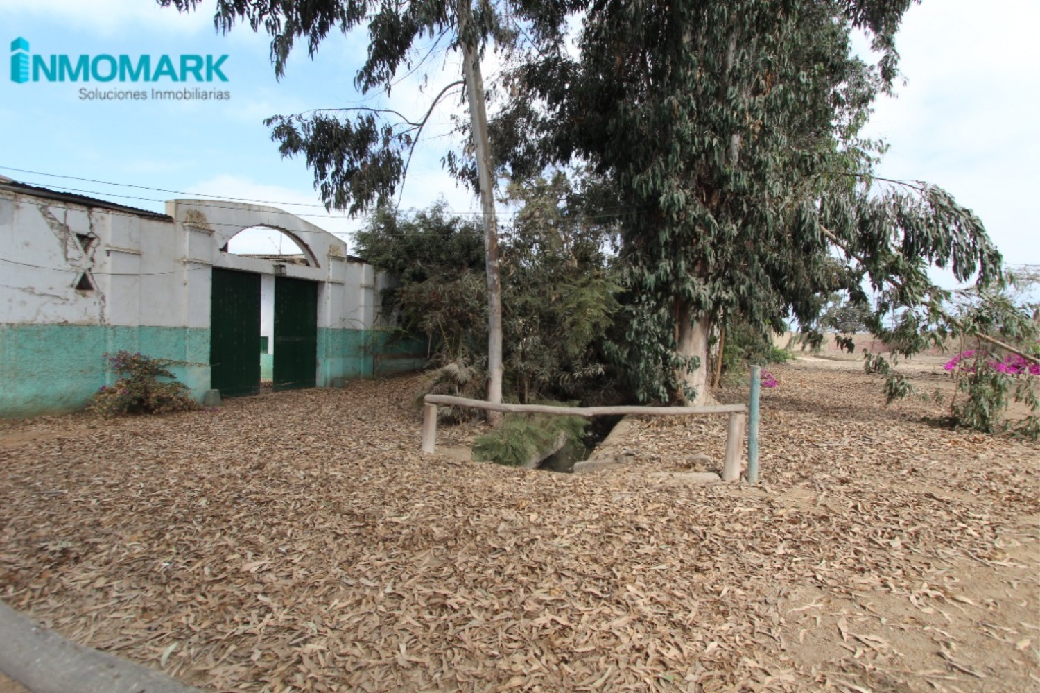 6-convertido-a-grande